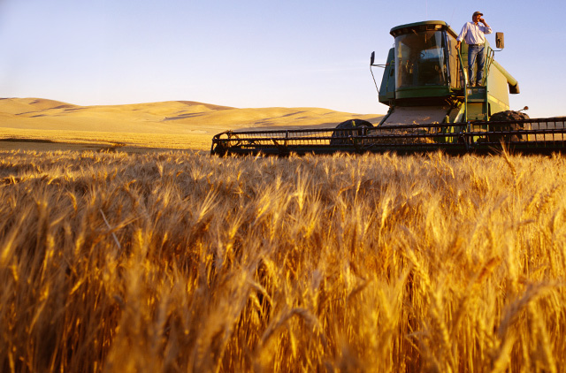 Agrárszektor háttér